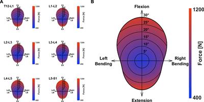 Subject-Specific Alignment and Mass Distribution in Musculoskeletal Models of the Lumbar Spine